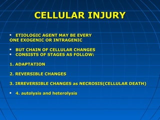 CELLULAR INJURY
ETIOLOGIC AGENT MAY BE EVERY
ONE EXOGENIC OR INTRAGENIC





BUT CHAIN OF CELLULAR CHANGES
CONSISTS OF STAGES AS FOLLOW:

1. ADAPTATION
2. REVERSIBLE CHANGES
3. IRREVERSIBLE CHANGES as NECROSIS(CELLULAR DEATH)


4. autolysis and heterolysis

 