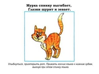 Мурка спинку выгибает,
Глазки щурит и зевает.

Улыбнуться, приоткрыть рот. Прижать кончик языка к нижним зубам,
выгнув при этом спинку языка.

 