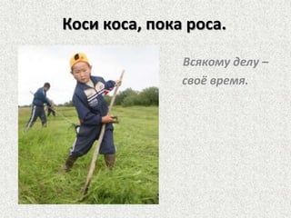 Коси коса, пока роса.
Всякому делу –
своё время.

 