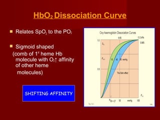 Pneumology - ventilation-transport-of-gases-and-oxygen-delivery | PPT