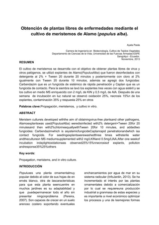 Obtención de plantas libres de enfermedades mediante el
cultivo de meristemos de Alamo (populus alba).
Ayala Paola
Carrera de Ingeniería en Biotecnología, Cultivo de Tejidos Vegetales
Departamento de Ciencias de la Vida, Universidad de las Fuerzas Armadas-ESPE
Sangolquí - Ecuador.
Noviembre, 2013

RESUMEN
El cultivo de meristemos se desarrolla con el objetivo de obtener plantas libres de virus y
otros patógenos, se utilizó explantes de Alamo(PopulusAlba) que fueron desinfectados con
detergente al 2% + Tween 20 durante 20 minutos y posteriormente con cloro al 2%
igualmente con Tween 20 durante 10 minutos, además se agregó dos fungicidas:
Carbendazim que es un fungicida de sistémico de rápida penetración y Captan que es un
fungicida de contacto. Para la siembra se lavó los explantes tres veces con agua estéril y se
los cultivo en medio MS enriquecido con 2 mg/L de KIN y 0,5 mg/L de AIA. Después de una
semana de incubación en luz natural se observó oxidación 25%, necrosis 15%n de los
explantes, contaminación 35% y respuesta 25% en otros
Palabras clave:Propagación, meristemos, y cultivo in vitro.
ABSTRACT
Meristem cultureis developed withthe aim of obtainingvirus-free plantsand other pathogens,
Alamoexplantswas used(PopulusAlba) weredisinfected with2% detergent+Tween 20for 20
minutesand then with2%chlorineequallywithTween 20for 10 minutes, and addedtwo
fungicides: Carbendazimwhich is asystemicfungicideCaptanrapid penetrationandwhich isa
contact fungicide. For seedingexplantswerewashedthree times withsterile water
andthecultureon MS mediumsupplemented with2 mg/LKINand 0.5mg/LIAA.After one weekof
incubation indaylightoxidationwas observed25%15%nnecrosisof explants, pollution
andresponse35%25%others
Key words:
Propagation, meristems, and in vitro culture.
INTRODUCCIÓN
Populuses una planta ornamentalmuy
popular debido al color de sus hojas de en
envés blanco, otra de lascaracterísticas
para que esta planta seencuentre en
muchos jardines es su adaptabilidad y
que puedepermanecer todo el año sin
presentar
ningúnproblema
(Pereira,
2007). Son capaces de crecer en un suelo
arenoso costero soportando eventuales

encharcamientos por agua de mar en su
sistema radicular (InfoJardin, 2013). Se ha
incrementado el interés por las plantas
ornamentales debido a comercialización
por lo cual se requiereuna producción
industrial a granmasa de estas especies y
es importante a nivel económico optimizar
los procesos y una de lasmejores formas

 