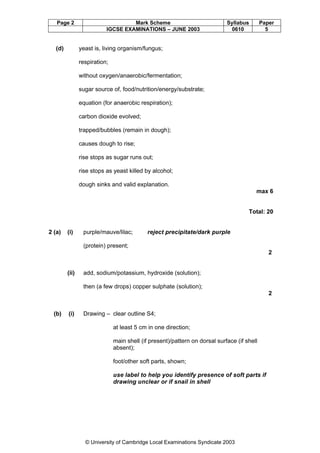Page 2

(d)

Mark Scheme
IGCSE EXAMINATIONS – JUNE 2003

Syllabus
0610

Paper
5

yeast is, living organism/fungus;
respiration;
without oxygen/anaerobic/fermentation;
sugar source of, food/nutrition/energy/substrate;
equation (for anaerobic respiration);
carbon dioxide evolved;
trapped/bubbles (remain in dough);
causes dough to rise;
rise stops as sugar runs out;
rise stops as yeast killed by alcohol;
dough sinks and valid explanation.
max 6

Total: 20

2 (a)

(i)

purple/mauve/lilac;

reject precipitate/dark purple

(protein) present;
2

(ii)

add, sodium/potassium, hydroxide (solution);
then (a few drops) copper sulphate (solution);
2

(b)

(i)

Drawing – clear outline S4;
at least 5 cm in one direction;
main shell (if present)/pattern on dorsal surface (if shell
absent);
foot/other soft parts, shown;
use label to help you identify presence of soft parts if
drawing unclear or if snail in shell

© University of Cambridge Local Examinations Syndicate 2003

 