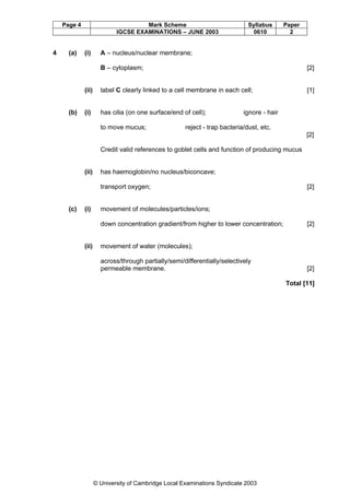 Page 4

4

(a)

Mark Scheme
IGCSE EXAMINATIONS – JUNE 2003

(i)

Syllabus
0610

Paper
2

A – nucleus/nuclear membrane;
B – cytoplasm;

(ii)

(b)

[2]

label C clearly linked to a cell membrane in each cell;

[1]

(i)

has cilia (on one surface/end of cell);
to move mucus;

ignore - hair

reject - trap bacteria/dust, etc.
[2]

Credit valid references to goblet cells and function of producing mucus

(ii)

has haemoglobin/no nucleus/biconcave;
transport oxygen;

(c)

(i)

movement of molecules/particles/ions;
down concentration gradient/from higher to lower concentration;

(ii)

[2]

[2]

movement of water (molecules);
across/through partially/semi/differentially/selectively
permeable membrane.

[2]
Total [11]

© University of Cambridge Local Examinations Syndicate 2003

 