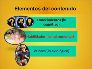 Elementos del contenido:

 