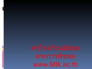 ครูโรงเรียนมัธยมตระการพืชผล www.Mtk.ac.th 