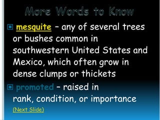  mesquite – any of several trees

or bushes common in
southwestern United States and
Mexico, which often grow in
dense clumps or thickets
 promoted – raised in
rank, condition, or importance
 (Next Slide)

 