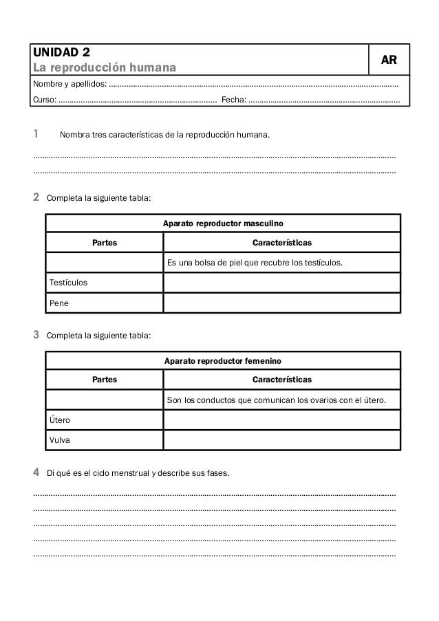 Fichas De Evaluacion 11