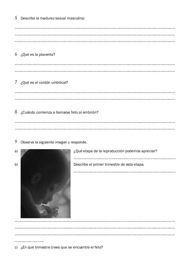 Fichas De Evaluacion 11