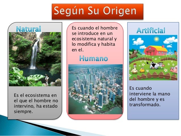 2.1 El ecosistema