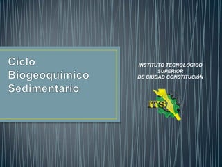 INSTITUTO TECNOLÓGICO
SUPERIOR
DE CIUDAD CONSTITUCIÓN

 