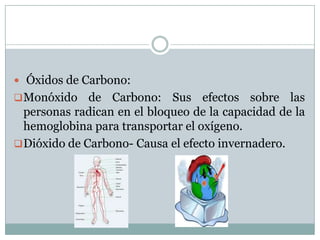  Óxidos de Carbono:
 Monóxido

de Carbono: Sus efectos sobre las
personas radican en el bloqueo de la capacidad de la
hemoglobina para transportar el oxígeno.
 Dióxido de Carbono- Causa el efecto invernadero.

 