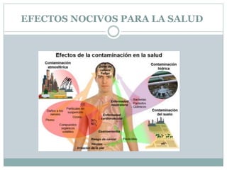 EFECTOS NOCIVOS PARA LA SALUD

 