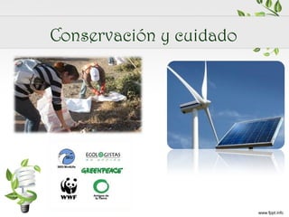 Conservación y cuidado

 