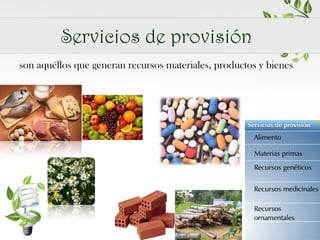 Servicios de provisión
son aquéllos que generan recursos materiales, productos y bienes

 