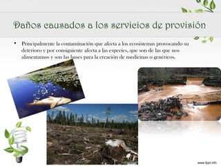 Daños causados a los servicios de provisión
• Principalmente la contaminación que afecta a los ecosistemas provocando su
deterioro y por consiguiente afecta a las especies, que son de las que nos
alimentamos y son las bases para la creación de medicinas o genéricos.

 