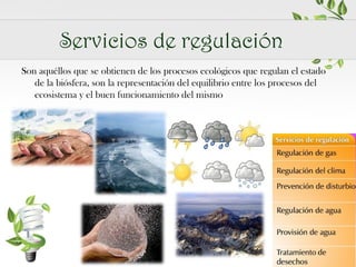 Servicios de regulación
Son aquéllos que se obtienen de los procesos ecológicos que regulan el estado
de la biósfera, son la representación del equilibrio entre los procesos del
ecosistema y el buen funcionamiento del mismo

 