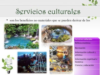 Servicios culturales
• son los beneficios no materiales que se pueden derivar de los
ecosistemas

 