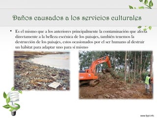 Daños causados a los servicios culturales
• Es el mismo que a los anteriores principalmente la contaminación que afecta
directamente a la belleza escénica de los paisajes, también tenemos la
destrucción de los paisajes, estos ocasionados por el ser humano al destruir
un hábitat para adaptar uno para sí mismo

 