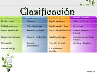 Clasificación

 
