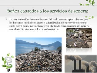 Daños causados a los servicios de soporte
• La contaminación, la contaminación del suelo generada por la basura que
los humanos producimos afecta a la fertilización del suelo volviéndolo un
suelo estéril donde no pueden crecer plantas, la contaminación del agua y el
aire afecta directamente a los ciclos biológicos.

 