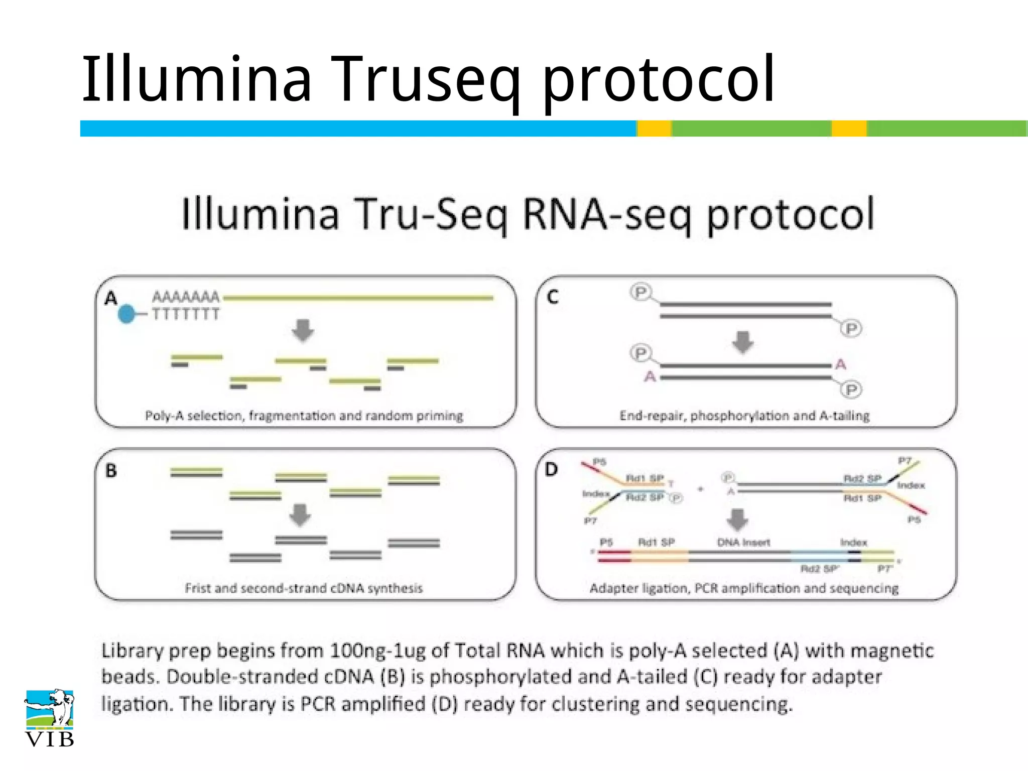 Illumina Truseq protocol
sdf

 