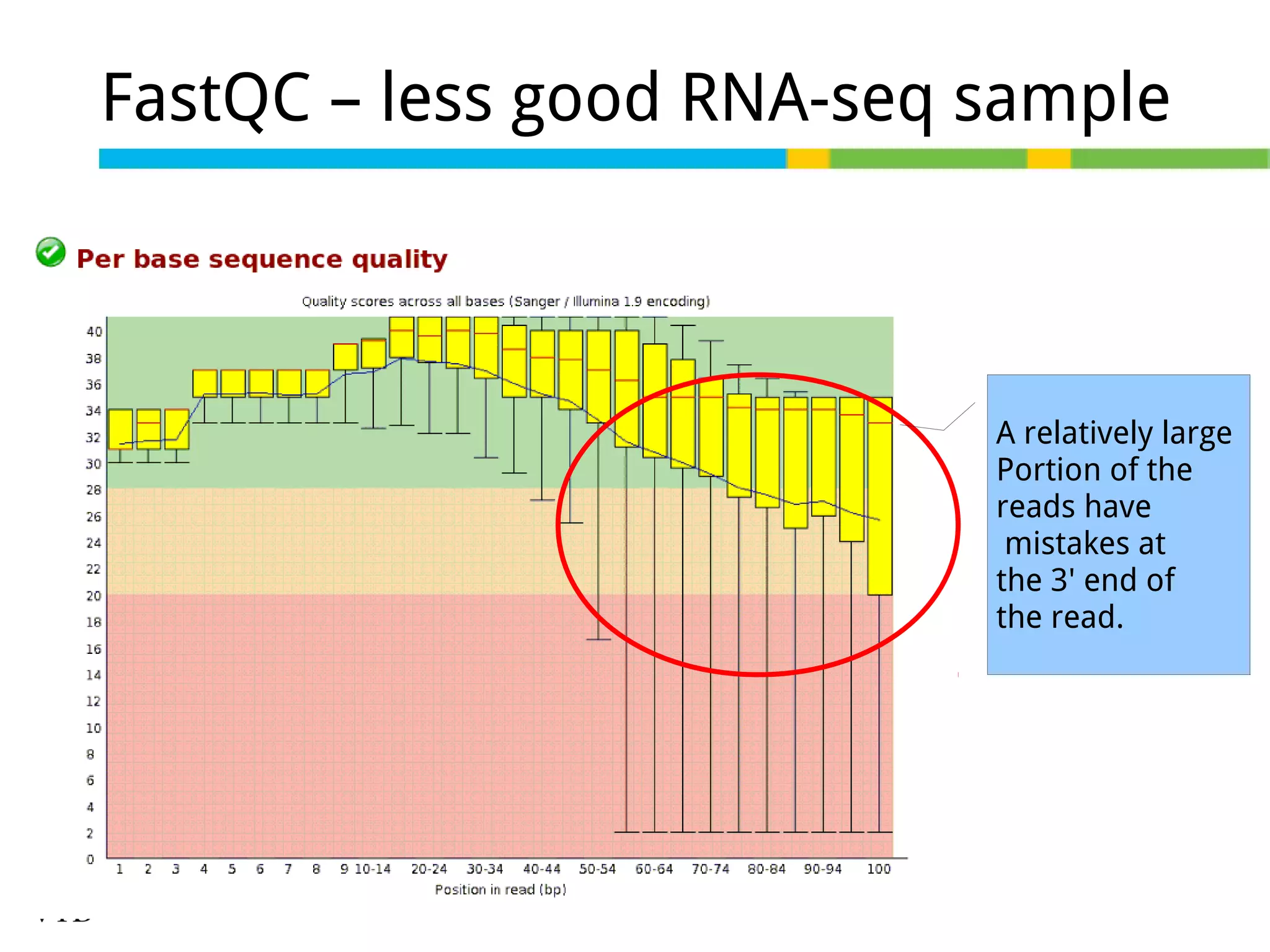 FastQC – less good RNA-seq sample

A relatively large
Portion of the
reads have
mistakes at
the 3' end of
the read.

 