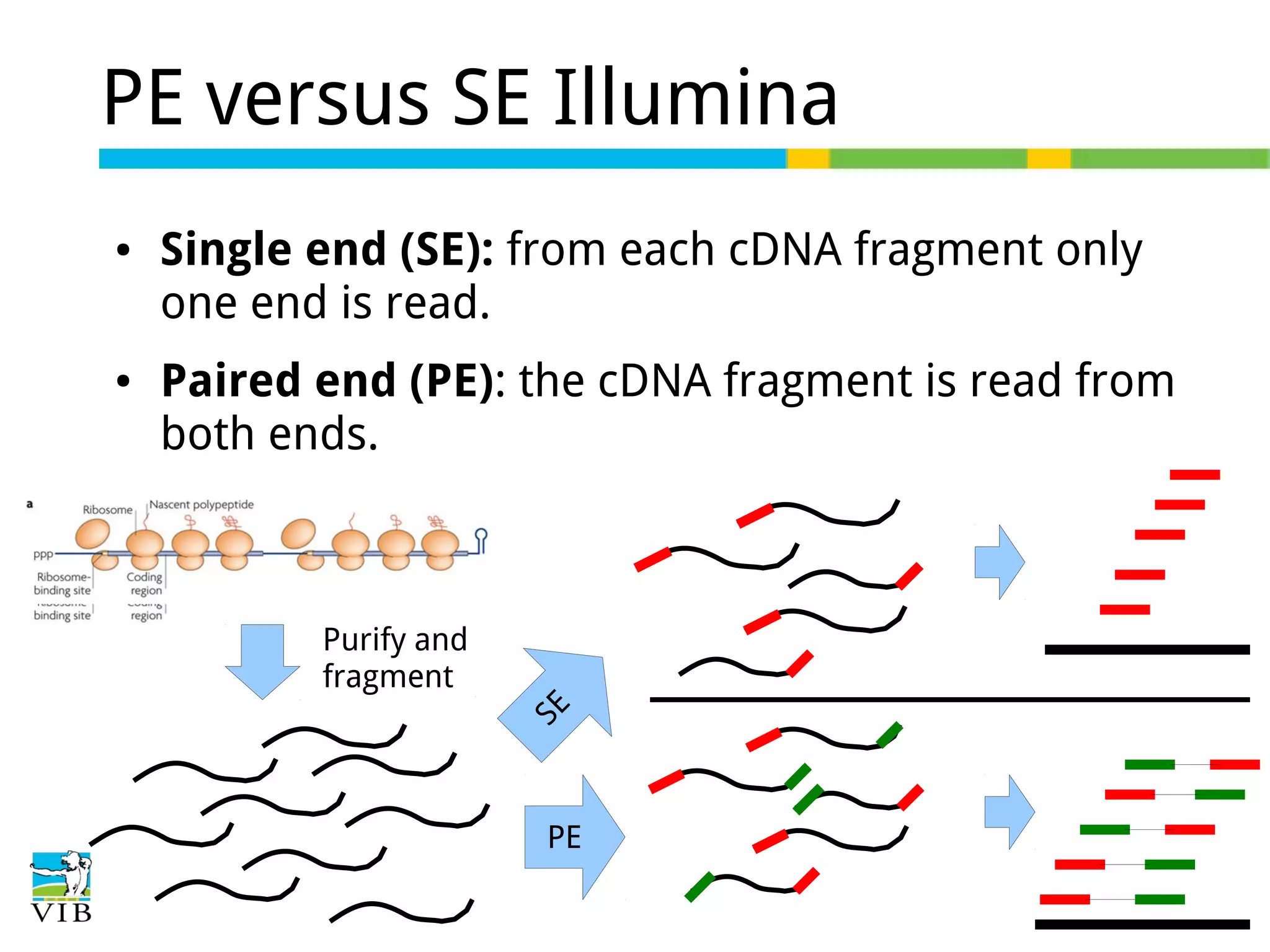 PE versus SE Illumina

●

Single end (SE): from each cDNA fragment only
one end is read.
Paired end (PE): the cDNA fragment is read from
both ends.

Purify and
fragment
SE

●

PE

 
