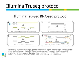 Illumina Truseq protocol
sdf

 