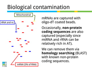 Biological contamination
Mitochondrial
rRNA and nc

mRNAs are captured with
oligo-dT coated beads.
Occasionally, non-protein
coding sequences are also
captured (especially since
mtRNA and rRNA can be
relatively rich in AT).
We can remove them via
homology searching (BLAST)
with known non-protein
coding sequences.

mRNA (5% of RNA)

 