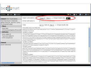 Biological contamination

 