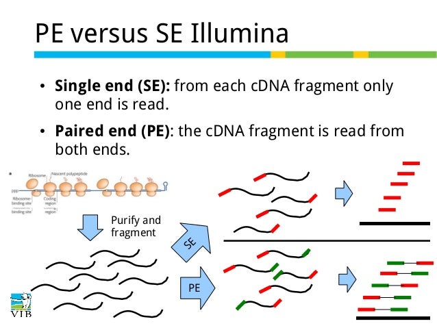 paired end sequencing