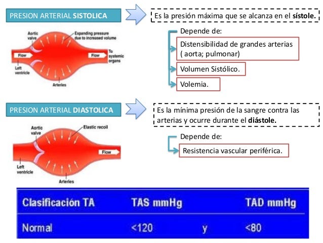 De Que Depende La Presion Diastolica