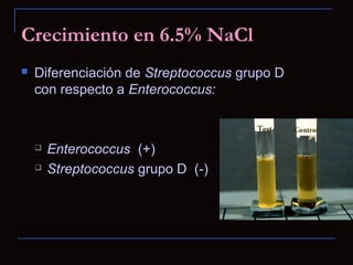 Esquema de clasificación
Cocos G+

Catalasa

Streptococcus
Enterococcus

+
Staphylococcus

Hemólisis

β

α

γ

Bacitracina...