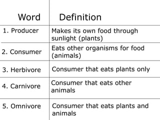 Word
1. Producer

Definition
Makes its own food through
sunlight (plants)

2. Consumer

Eats other organisms for food
(animals)

3. Herbivore

Consumer that eats plants only

4. Carnivore

Consumer that eats other
animals

5. Omnivore

Consumer that eats plants and
animals

 