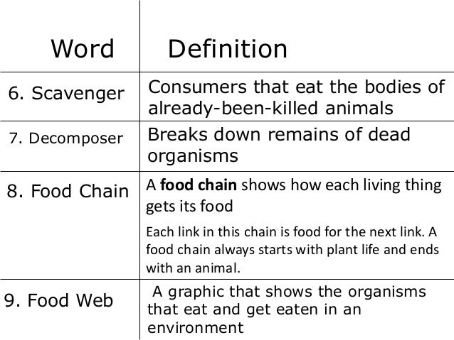 defining words