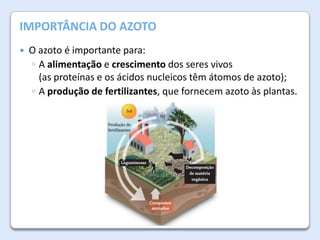 A Atmosfera da Terra
IMPORTÂNCIA DO AZOTO


O azoto é importante para:
◦ A alimentação e crescimento dos seres vivos
(as proteínas e os ácidos nucleicos têm átomos de azoto);
◦ A produção de fertilizantes, que fornecem azoto às plantas.

 