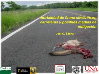 mortalidad de fauna silvestre en
carreteras y posibles medias de
mitigación
Joel C. Sáenz

 