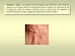 Arterias y venas._ Las arterias son los conductos que llevan los cinco litros de
sangre rica en oxigeno desde el corazón hacia todo el cuerpo. Los vasos que llevan
la sangre de vuelta al corazón se llaman venas. Le lleva unos 60 segundos al
corazón bombear la sangre cargada de oxígeno hacia todo el cuerpo.

 