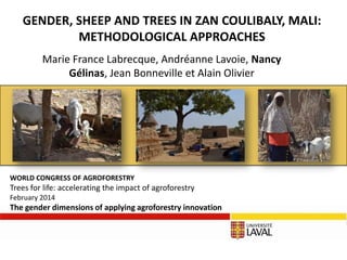 GENDER, SHEEP AND TREES IN ZAN COULIBALY, MALI:
METHODOLOGICAL APPROACHES
Marie France Labrecque, Andréanne Lavoie, Nancy
Gélinas, Jean Bonneville et Alain Olivier

WORLD CONGRESS OF AGROFORESTRY

Trees for life: accelerating the impact of agroforestry
February 2014

The gender dimensions of applying agroforestry innovation

 
