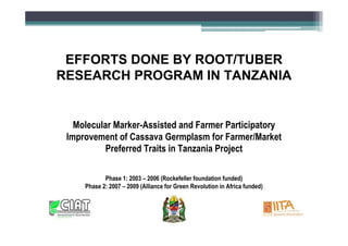 EFFORTS DONE BY ROOT/TUBER
RESEARCH PROGRAM IN TANZANIA

Molecular Marker-Assisted and Farmer Participatory
Improvement of Cassava Germplasm for Farmer/Market
Preferred Traits in Tanzania Project
Phase 1: 2003 – 2006 (Rockefeller foundation funded)
Phase 2: 2007 – 2009 (Alliance for Green Revolution in Africa funded)

 