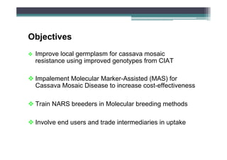 Objectives
Improve local germplasm for cassava mosaic
resistance using improved genotypes from CIAT
Impalement Molecular Marker-Assisted (MAS) for
Cassava Mosaic Disease to increase cost-effectiveness
Train NARS breeders in Molecular breeding methods
Involve end users and trade intermediaries in uptake

 