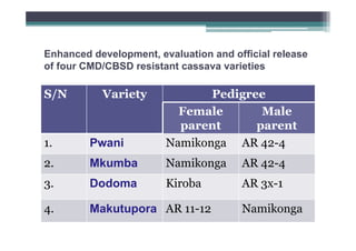 Enhanced development, evaluation and official release
of four CMD/CBSD resistant cassava varieties

S/N

Variety

1.

Pwani

Pedigree
Female
Male
parent
parent
Namikonga AR 42-4

2.

Mkumba

Namikonga

AR 42-4

3.

Dodoma

Kiroba

AR 3x-1

4.

Makutupora AR 11-12

Namikonga

 