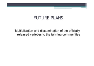 FUTURE PLANS
Multiplication and dissemination of the officially
released varieties to the farming communities

 