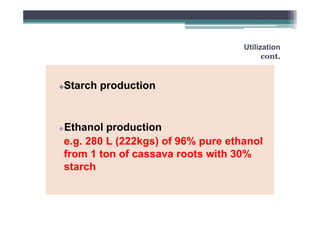 Utilization
cont.

Starch production

Ethanol production
e.g. 280 L (222kgs) of 96% pure ethanol
from 1 ton of cassava roots with 30%
starch

 