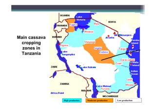Main cassava
cropping
zones in
Tanzania

High production

Moderate production

Low production

 