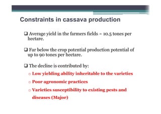 Constraints in cassava production
Average yield in the farmers fields ~ 10.5 tones per
hectare.
Far below the crop potential production potential of
up to 90 tones per hectare.
The decline is contributed by:
o Low yielding ability inheritable to the varieties
o Poor agronomic practices
o Varieties susceptibility to existing pests and
diseases (Major)

 