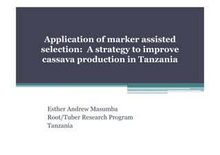 Application of marker assisted
selection: A strategy to improve
cassava production in Tanzania

Esther Andrew Masumba
Root/Tuber Research Program
Tanzania

 