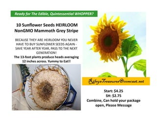 Ready for The Edible, Quintessential WHOPPER?

10 Sunflower Seeds HEIRLOOM
NonGMO Mammoth Grey Stripe
BECAUSE THEY ARE HEIRLOOM YOU NEVER
HAVE TO BUY SUNFLOWER SEEDS AGAIN SAVE YEAR AFTER YEAR, PASS TO THE NEXT
GENERATION!
The 13-foot plants produce heads averaging
12 inches across. Yummy to Eat!!

RileysTreasures@comcast.net
Start: $4.25
SH: $2.75
Combine, Can hold your package
open, Please Message

 