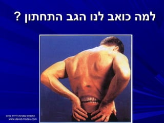 ‫למה כואב לנו הגב התחתון ?‬

‫הזכויות שמורות לדיויד מוזס‬
‫‪www.david-mozes.com‬‬

 