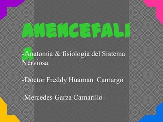 Anencefali
a
-Anatomía & fisiología del Sistema
Nerviosa
-Doctor Freddy Huaman Camargo
-Mercedes Garza Camarillo

 